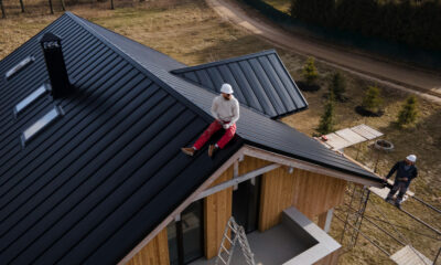 Roof shingle repair