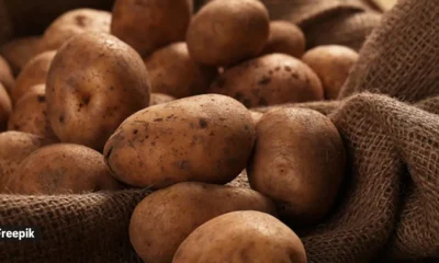 How Does Eating Potatoes Benefit Your Health