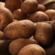 How Does Eating Potatoes Benefit Your Health